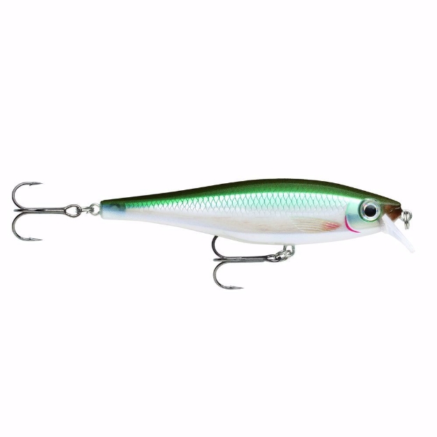 Picture of Bx Minnow